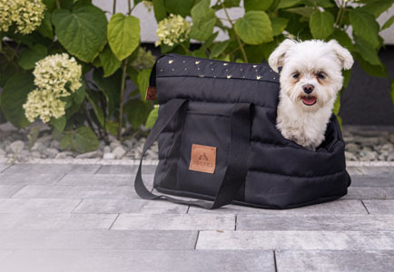 Transport bags for pets